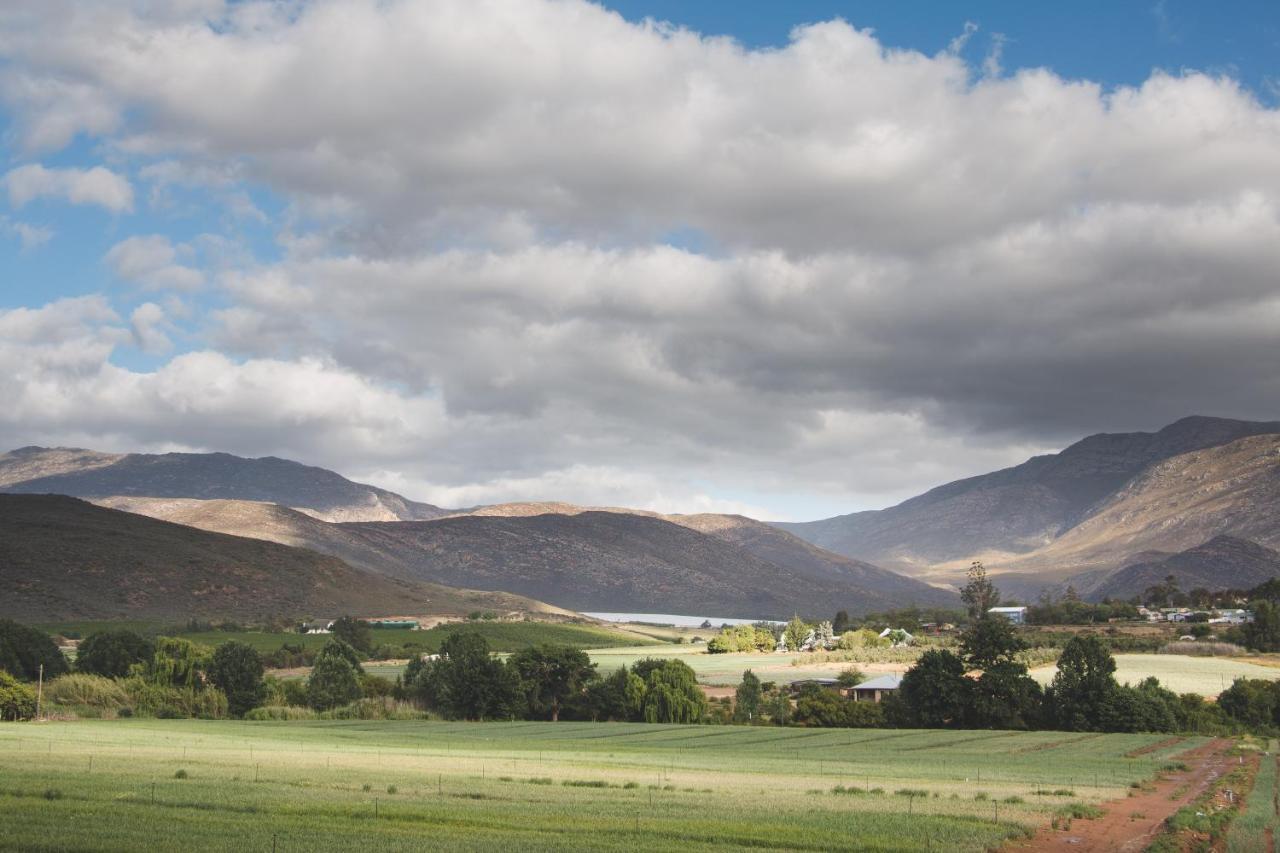 Hostal Blue Cow Barn - Boutique Farm Barrydale Exterior foto