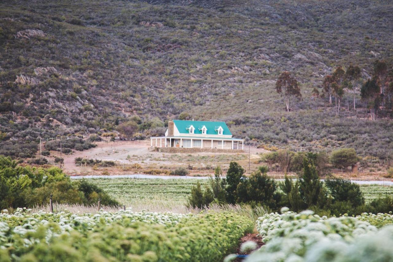 Hostal Blue Cow Barn - Boutique Farm Barrydale Exterior foto