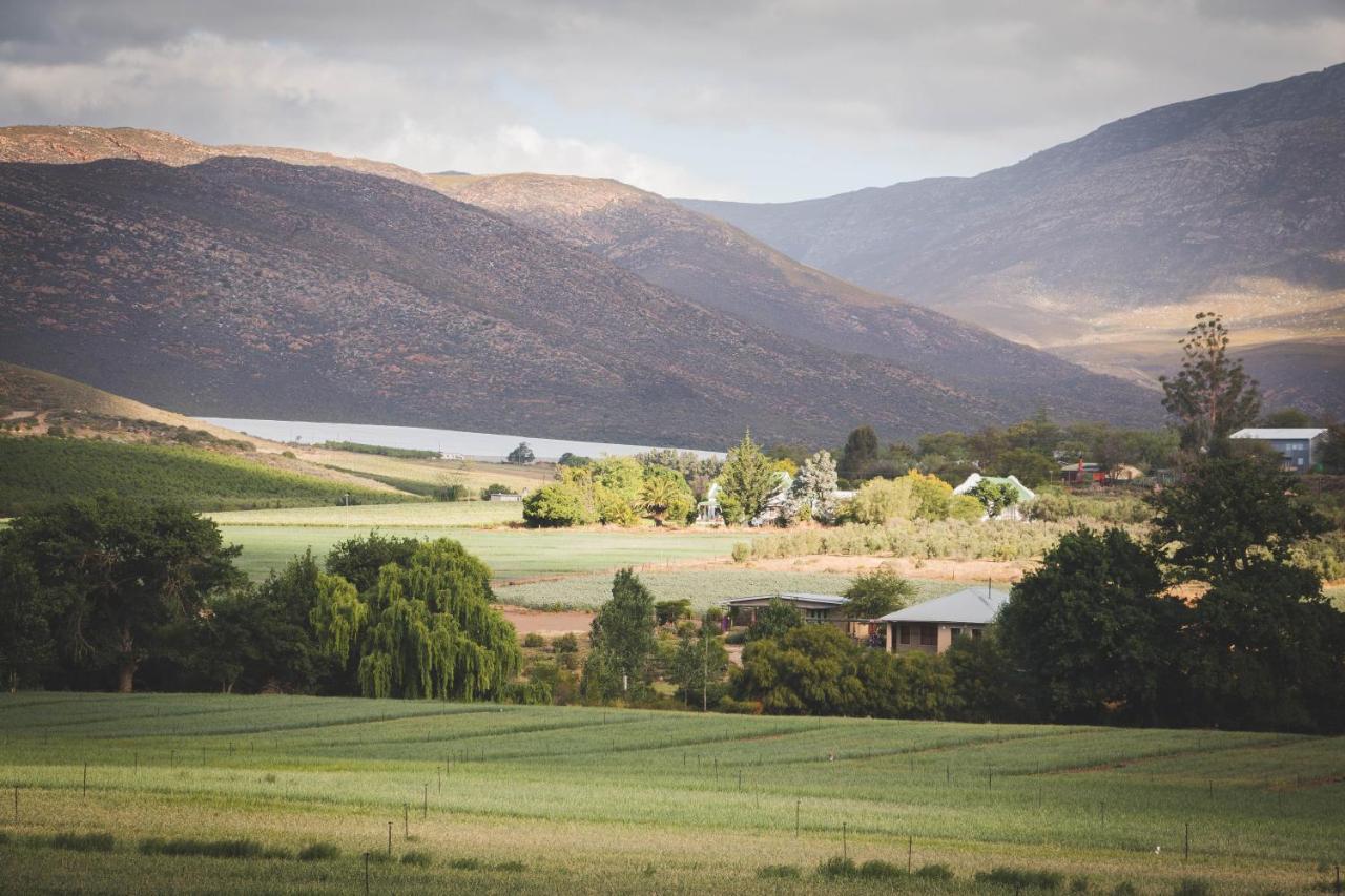 Hostal Blue Cow Barn - Boutique Farm Barrydale Exterior foto