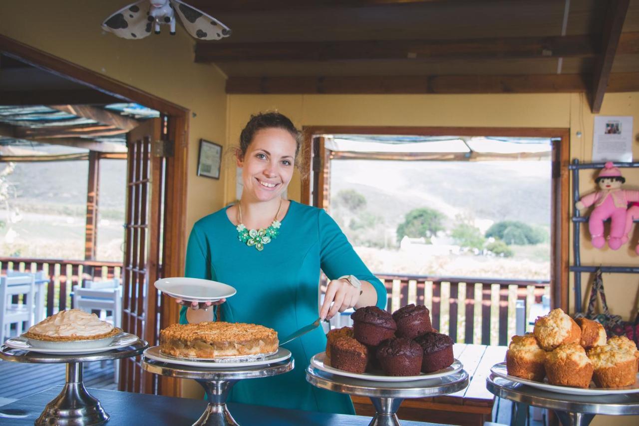 Hostal Blue Cow Barn - Boutique Farm Barrydale Exterior foto