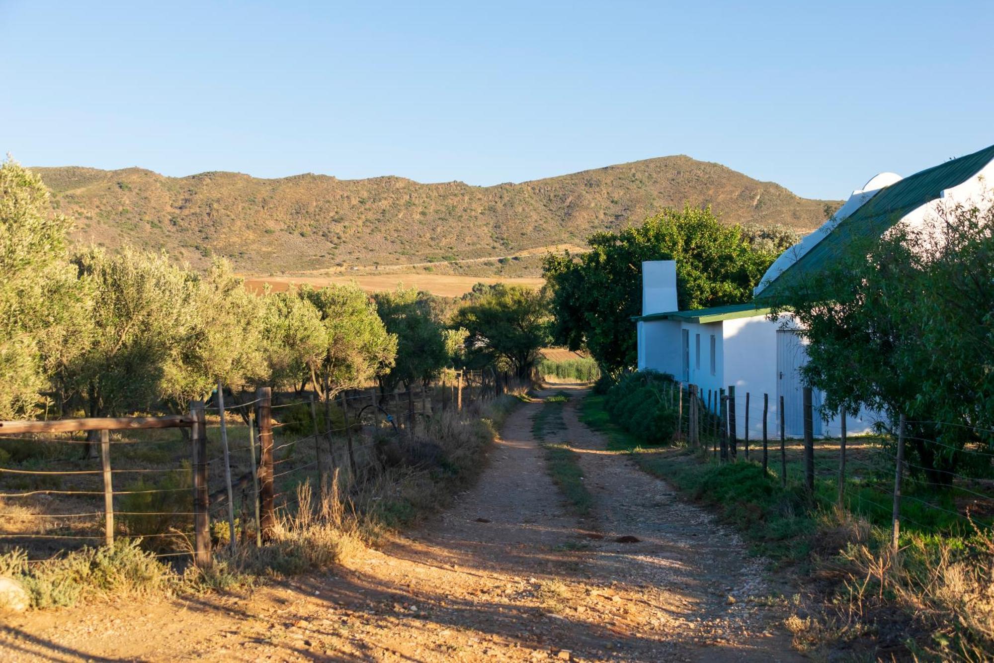 Hostal Blue Cow Barn - Boutique Farm Barrydale Exterior foto